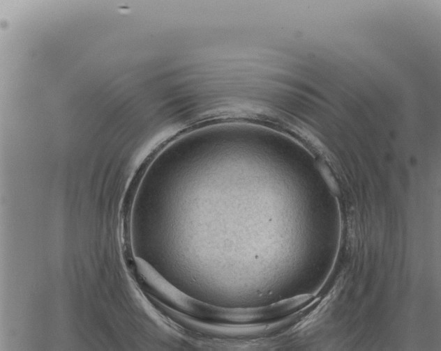 X0000063491034200601271715