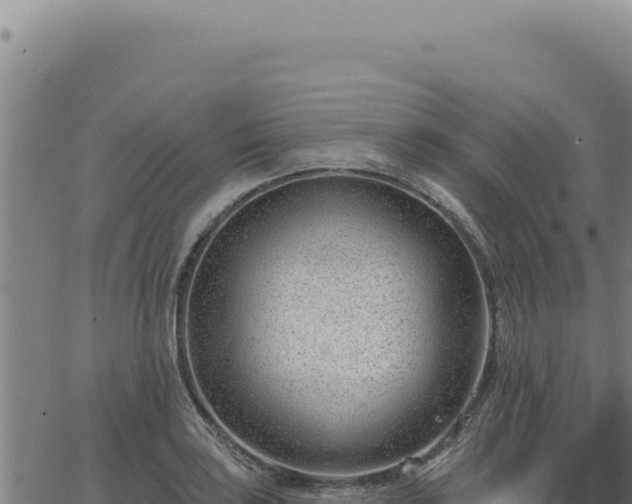 X0000063491035200601271715