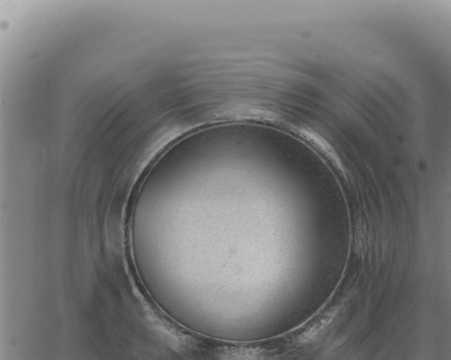 X0000063491039200601271715