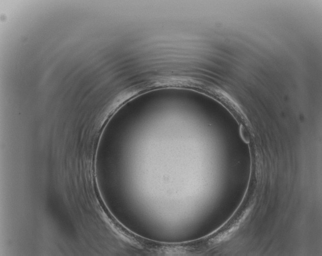 X0000063491041200601271715