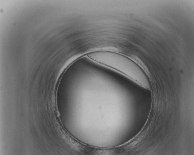 X0000063491044200601271715