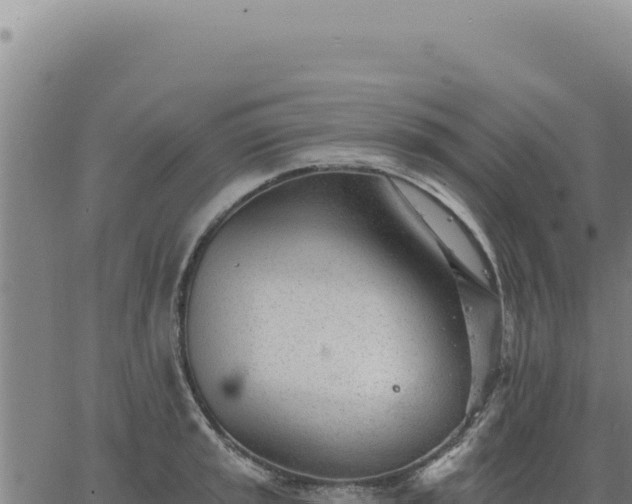 X0000063491045200601271715