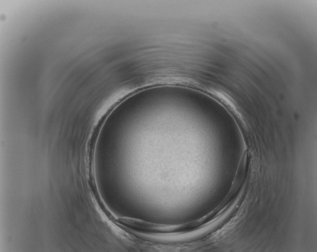 X0000063491046200601271715