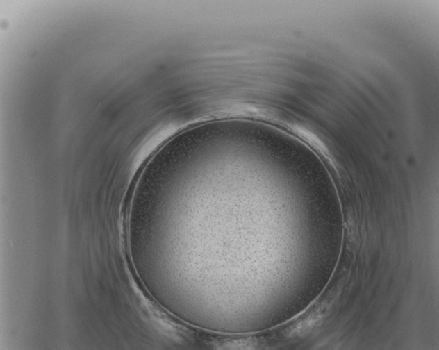 X0000063491047200601271715