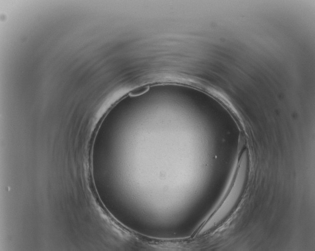 X0000063491048200601271715