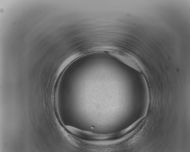 X0000063491050200601271715