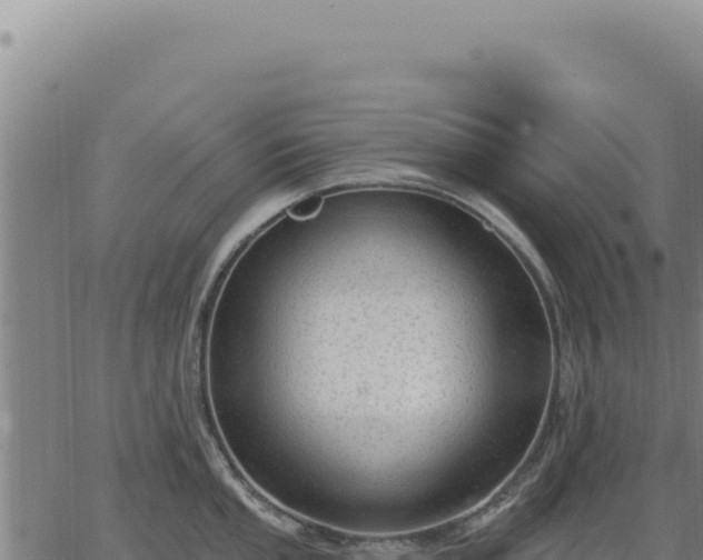 X0000063491053200601271715