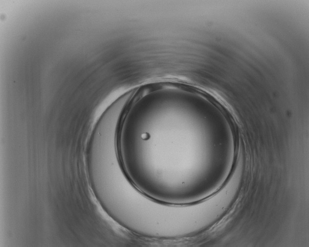 X0000063491054200601271715