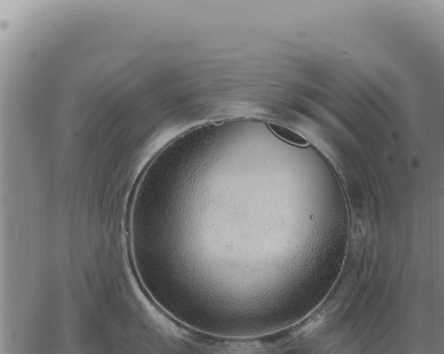 X0000063491055200601271715