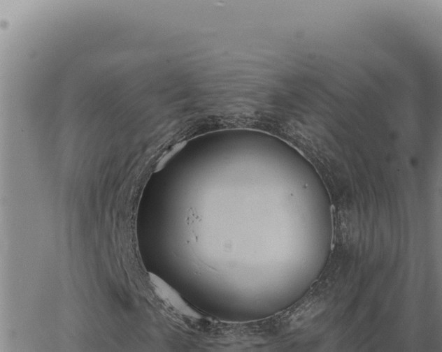 X0000063491057200601271714