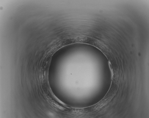 X0000063491058200601271714