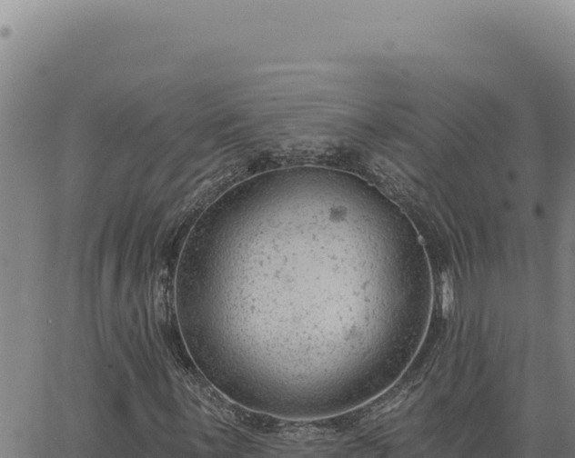 X0000063491059200601271714