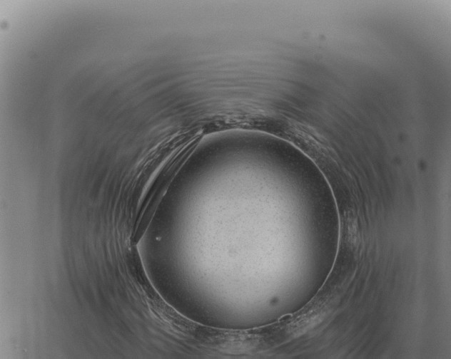 X0000063491060200601271714