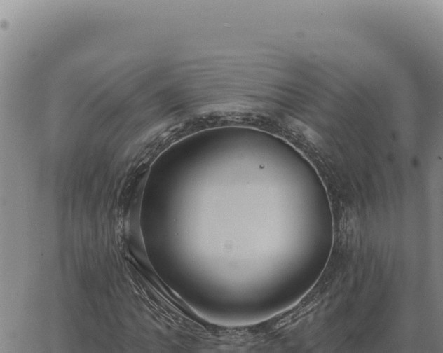 X0000063491062200601271714