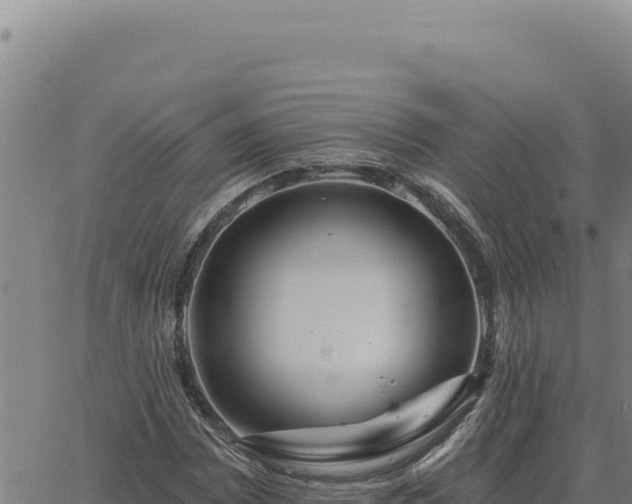 X0000063491065200601271714