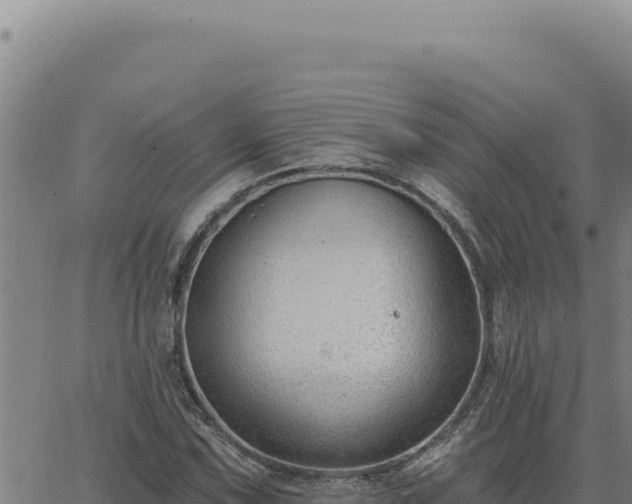 X0000063491067200601271714