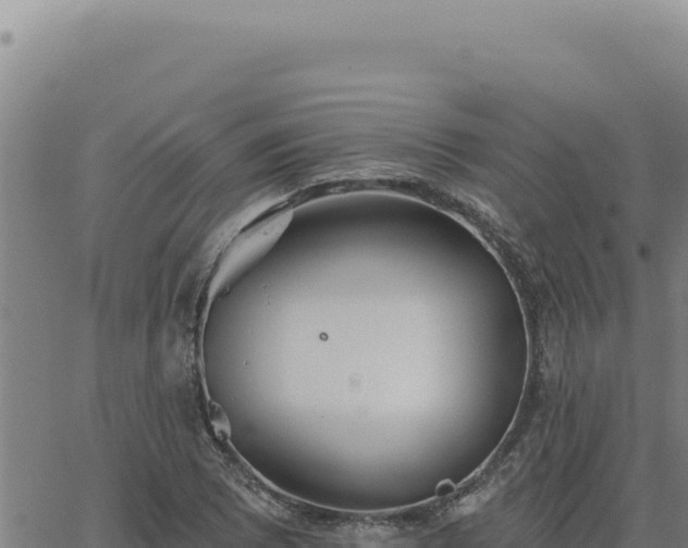 X0000063491073200601271714