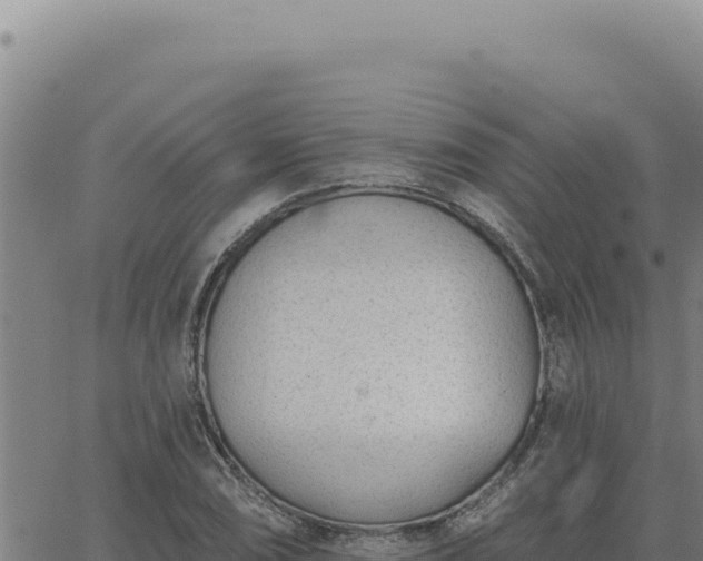 X0000063491074200601271714