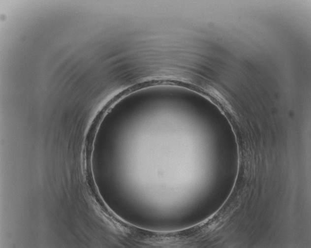 X0000063491076200601271714