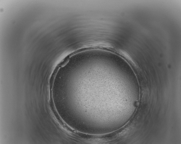 X0000063491079200601271714