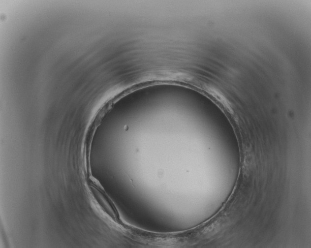 X0000063491080200601271714