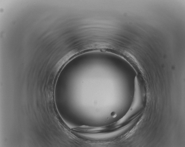 X0000063491081200601271714