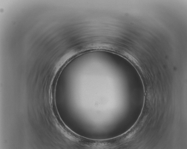 X0000063491082200601271714