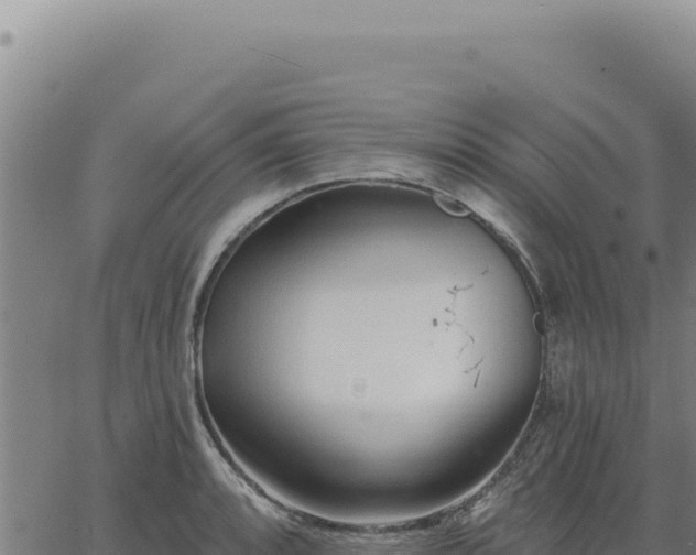 X0000063491088200601271714