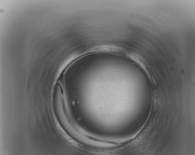 X0000063491091200601271714