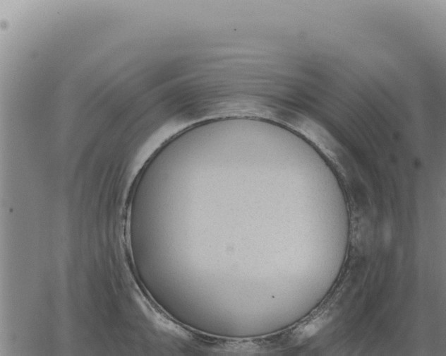 X0000063491094200601271714