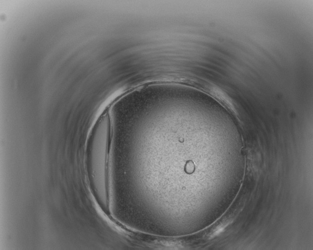 X0000063491095200601271714