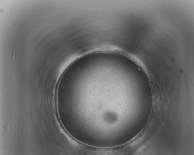 X0000063491103200601271713