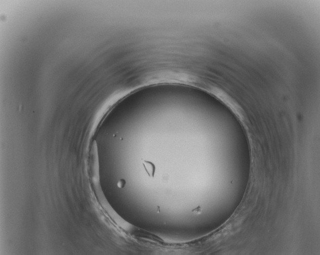 X0000063491104200601271713