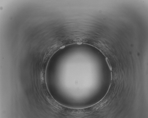 X0000063491106200601271713