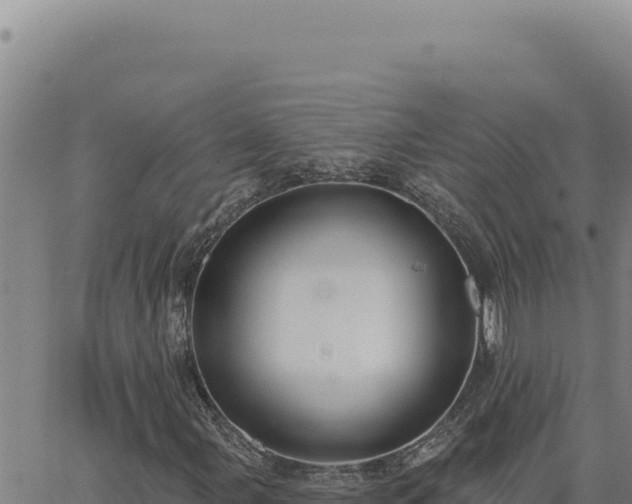 X0000063491107200601271713