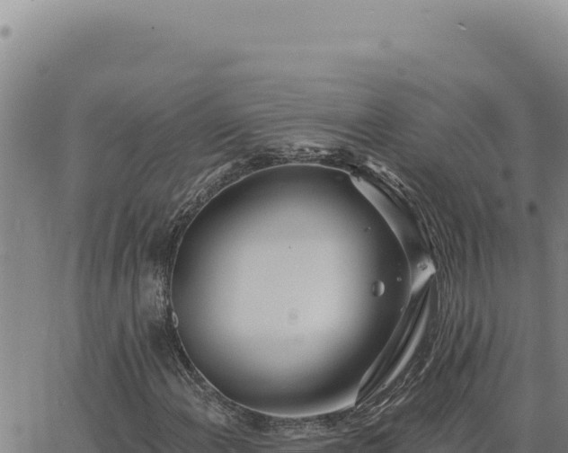 X0000063491108200601271713