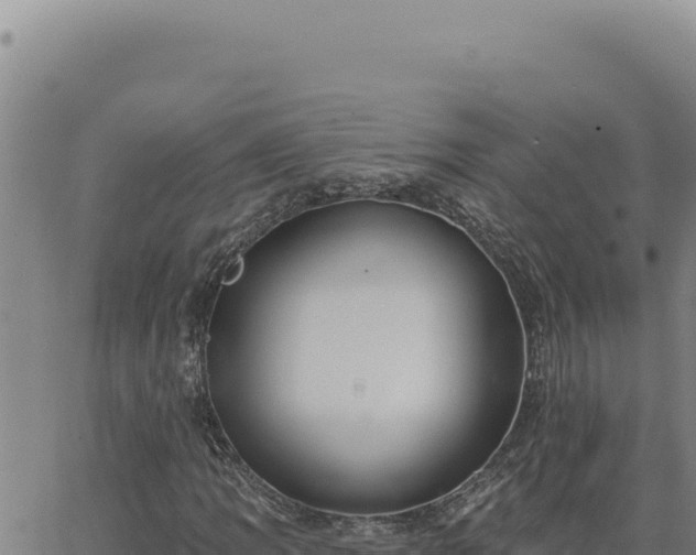 X0000063491109200601271713