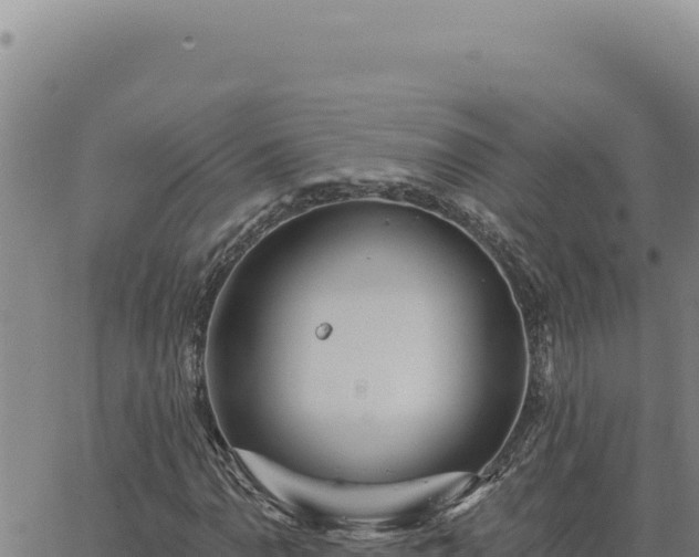 X0000063491110200601271713