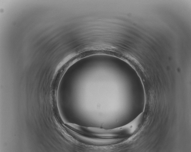 X0000063491114200601271713