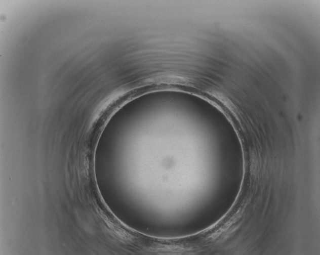 X0000063491115200601271713