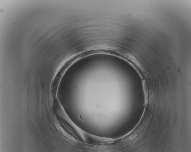 X0000063491116200601271713