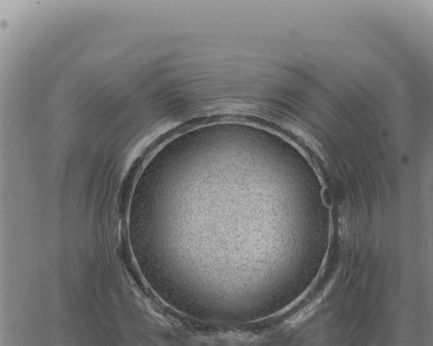 X0000063491117200601271713