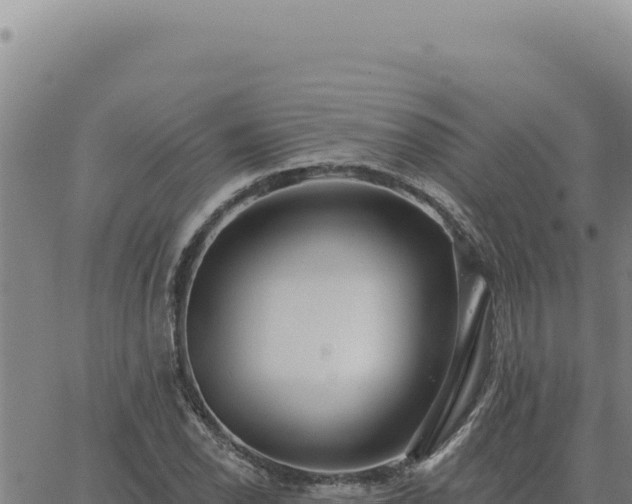 X0000063491118200601271713