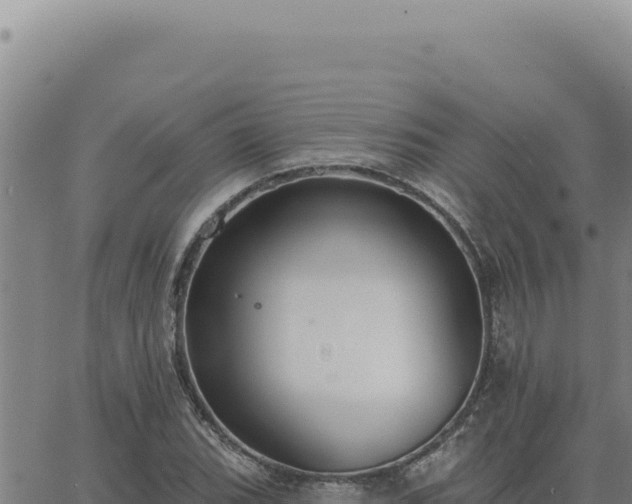 X0000063491119200601271713