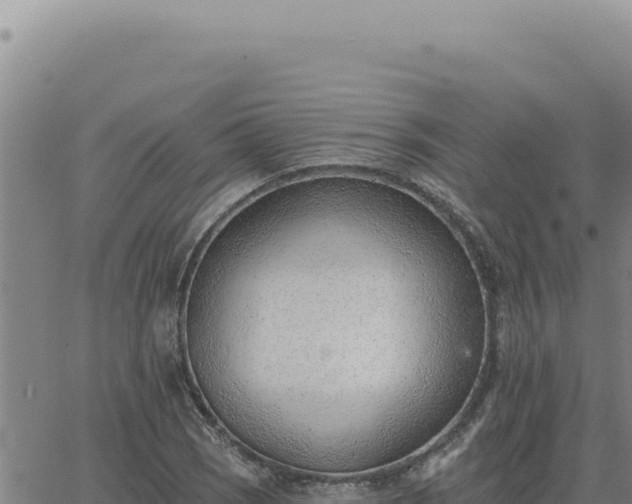 X0000063491121200601271713