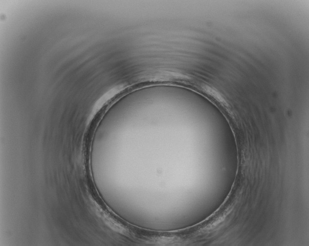 X0000063491122200601271713