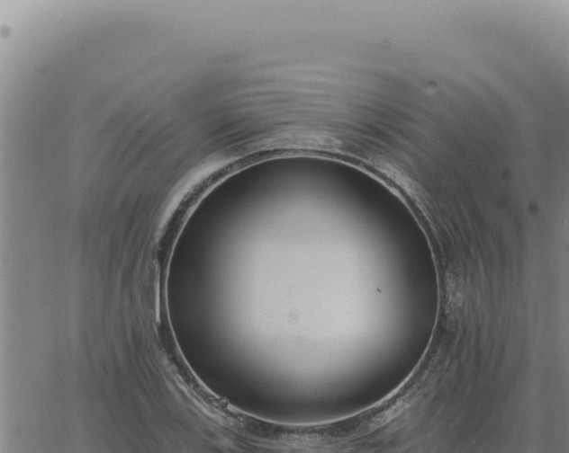 X0000063491123200601271713