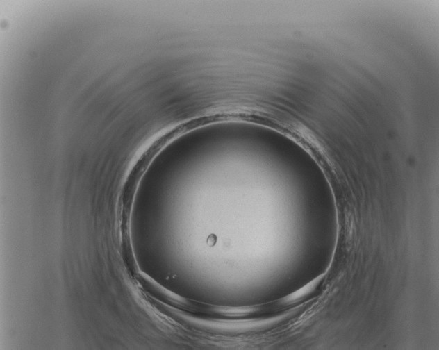 X0000063491124200601271713