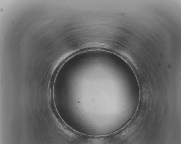 X0000063491125200601271713