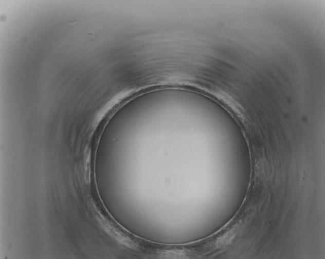 X0000063491126200601271713